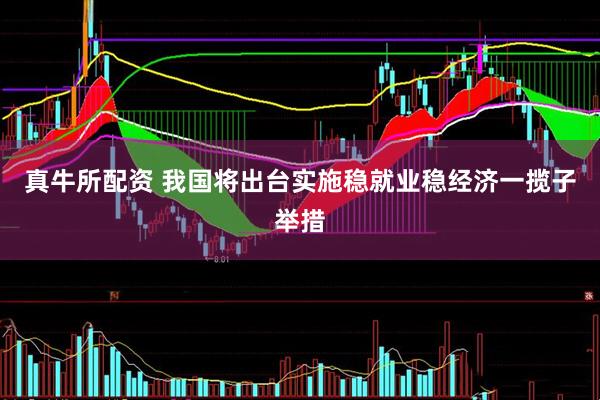 真牛所配资 我国将出台实施稳就业稳经济一揽子举措