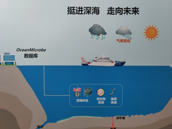 财惠赚 面朝大海，又一全球总部落户上海，在六大洲设立分中心