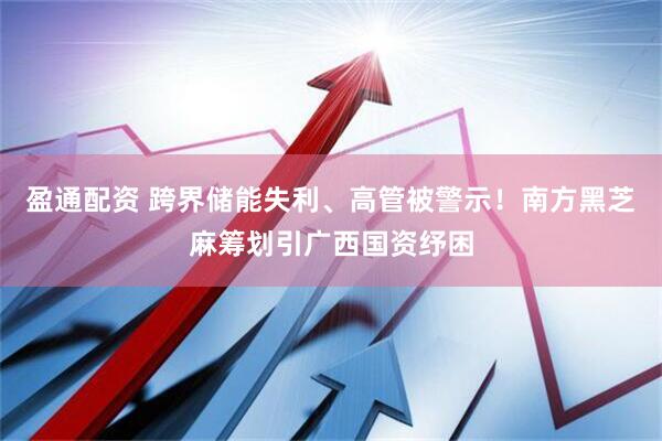盈通配资 跨界储能失利、高管被警示！南方黑芝麻筹划引广西国资纾困