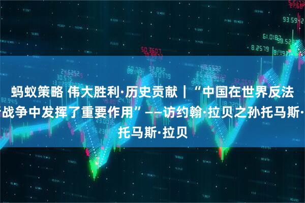蚂蚁策略 伟大胜利·历史贡献｜“中国在世界反法西斯战争中发挥了重要作用”——访约翰·拉贝之孙托马斯·拉贝