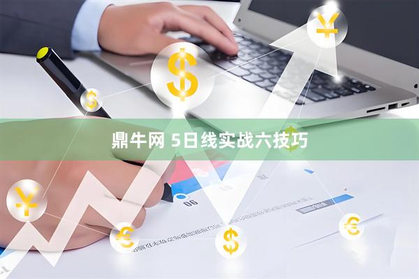 鼎牛网 5日线实战六技巧